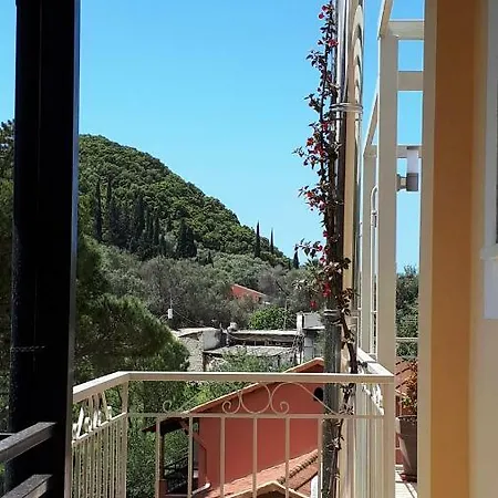 Anemona Paleokastritsa