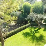 Anemona Studios