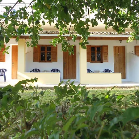 Anemona Paleokastritsa