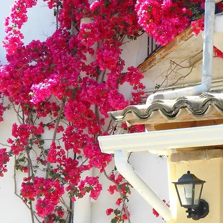 Anemona Aparthotel 3*