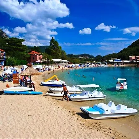 Anemona Paleokastrítsa