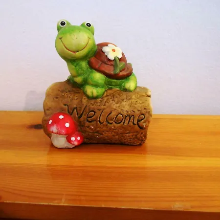 Anemona Paleokastrítsa