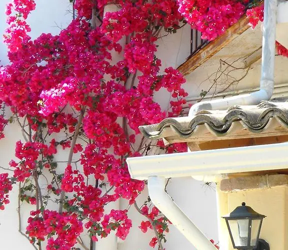 Anemona Apart-hotel 3*