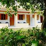 Anemona