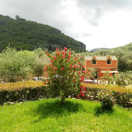 Anemona