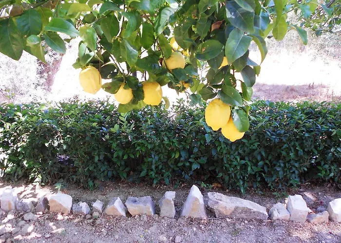 Lejlighedshotel Anemona Studios Paleokastritsa